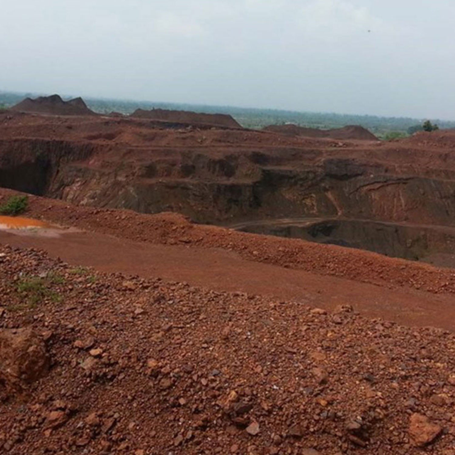 Iron Ore 